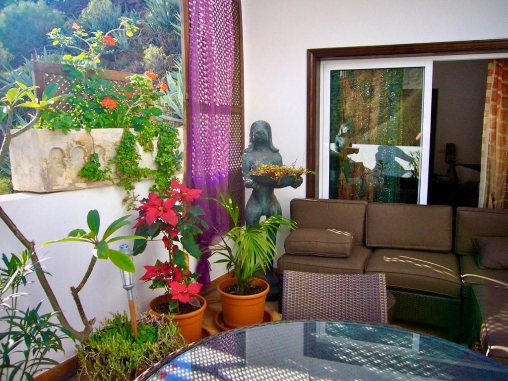 Apartament La Galeria Calera Zewnętrze zdjęcie
